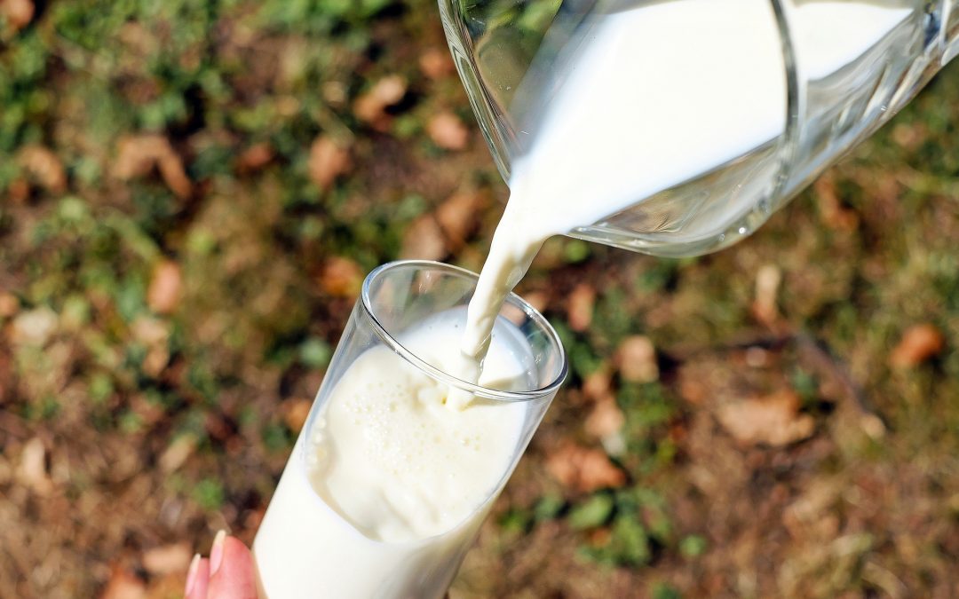 Is Milk An Option for People with Diabetes?