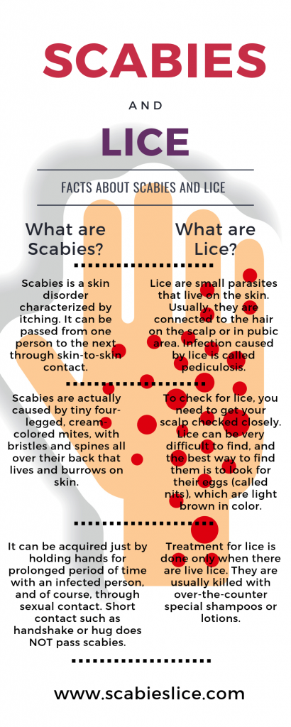 What to Do If You Have Scabies or Lice?